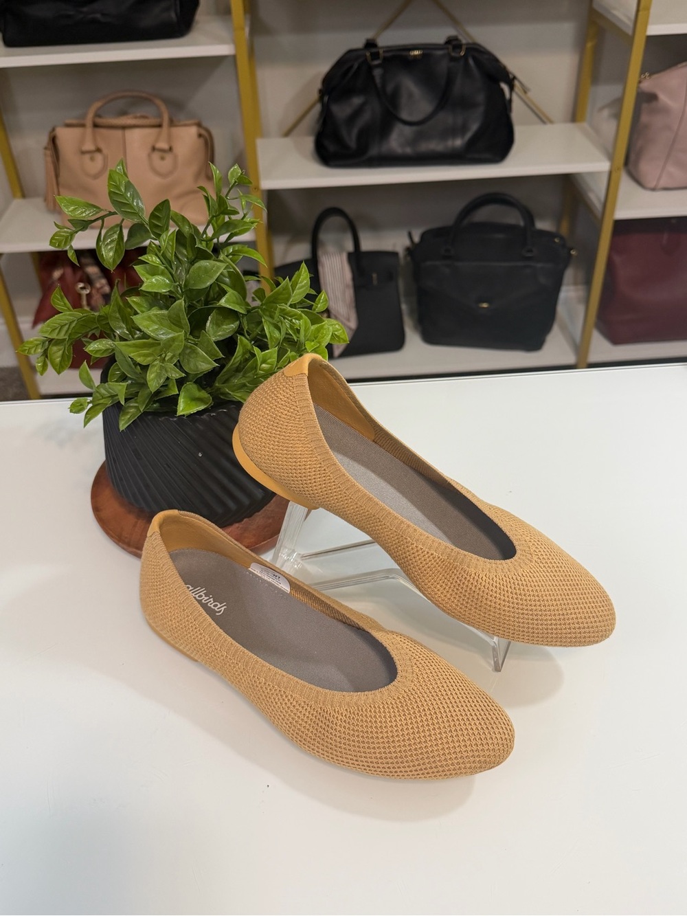 allbirds Women's Knit Ballet Flats in Light Yellow